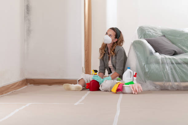 Reliable Mold Inspection contractor in Union City, NJ by WQB Mold Removal